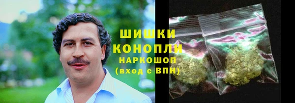 амф Касимов