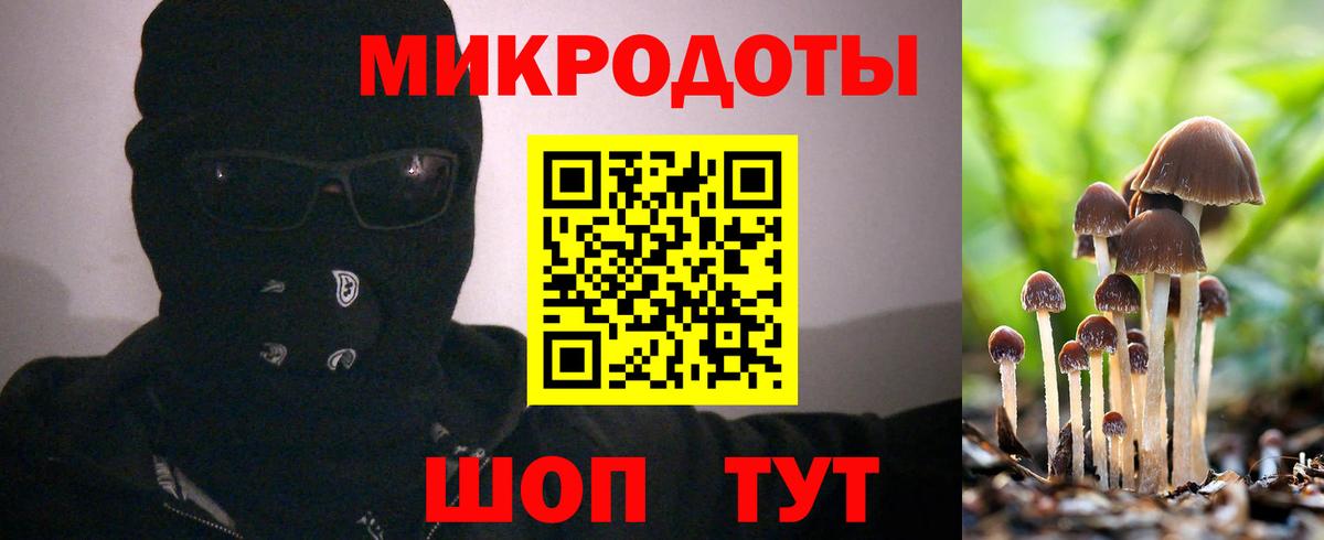 даркнет сайт  Галлюциногенные грибы Psilocybe  Вход с VPN  Керчь 