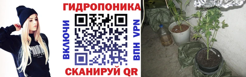 где продают   darknet как зайти  Бошки марихуана план  Керчь 